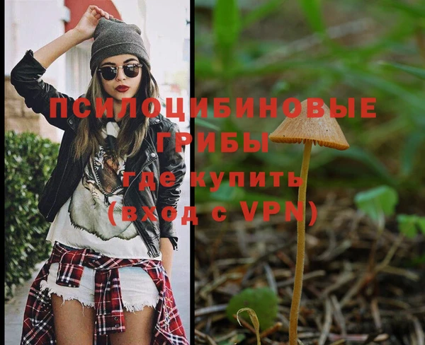 МДПВ Алексин