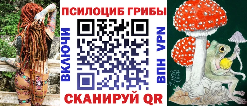 Галлюциногенные грибы Psilocybine cubensis  Ивдель 